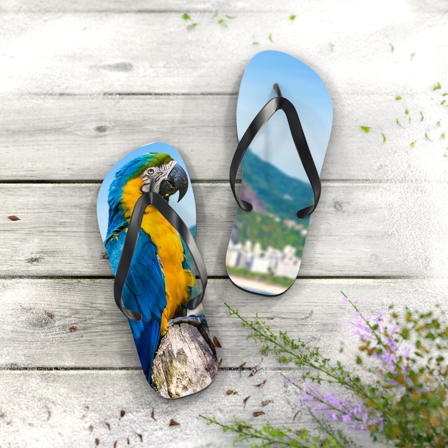 Parrot Flip Flops