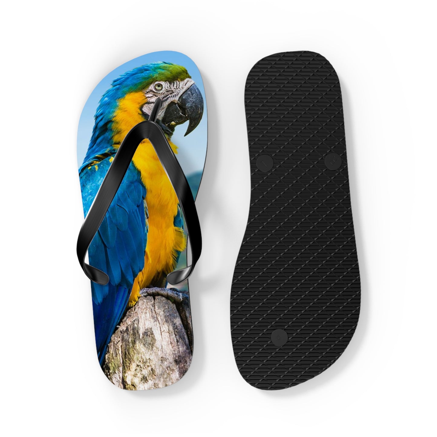 Parrot Flip Flops
